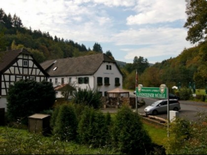 Foto: Landsteiner Muehle